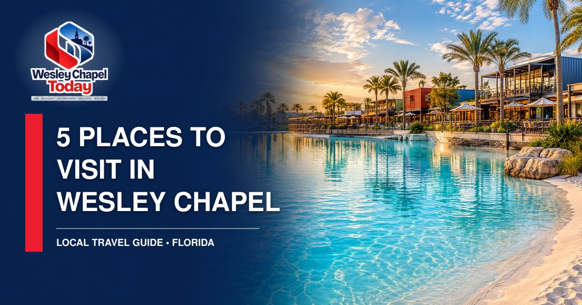 Beyond Busch Gardens: 5 places to visit in Wesley Chapel
