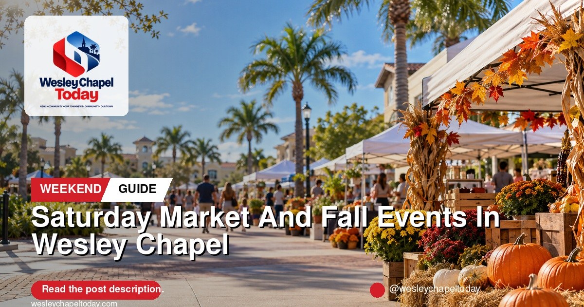 Saturday Market And Fall Events Give Wesley Chapel Families A Weekend Plan