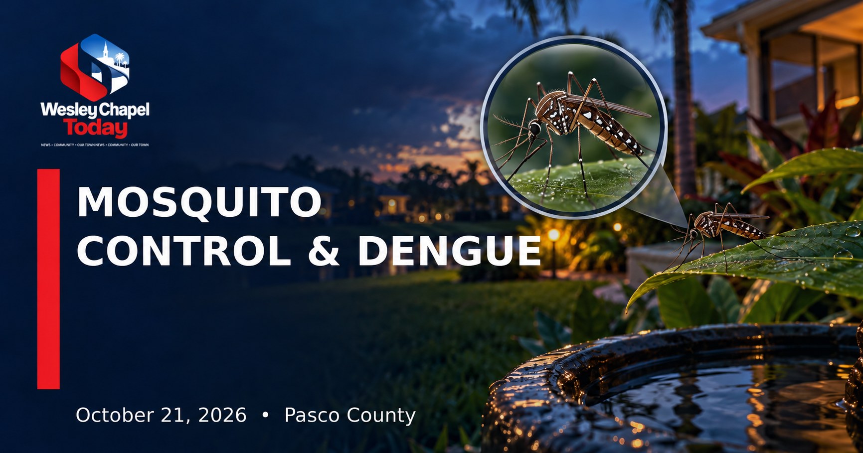 Pasco County Intensifies Mosquito Control as Dengue Cases Affect Tampa Bay Region