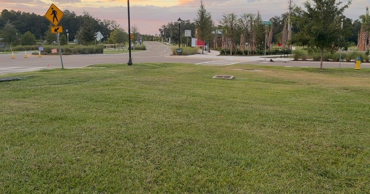 Avalon Park Common Opens in Wesley Chapel, Named by Resident Desiree Gutierrez