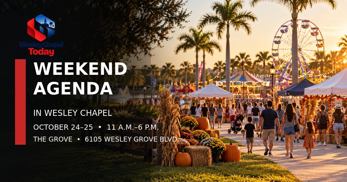 Weekend Agenda in Wesley Chapel
